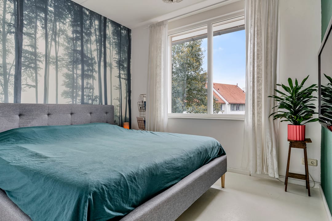 Photo 26 of Zilvervlekpad 6