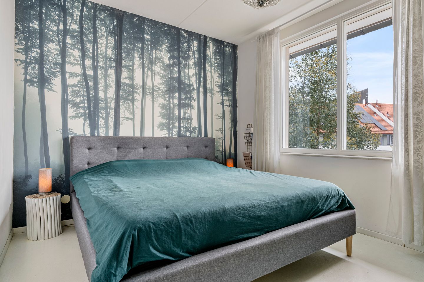 Photo 25 of Zilvervlekpad 6