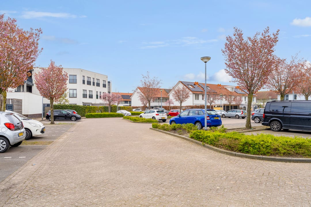 Photo 53 of Zilvervlekpad 6