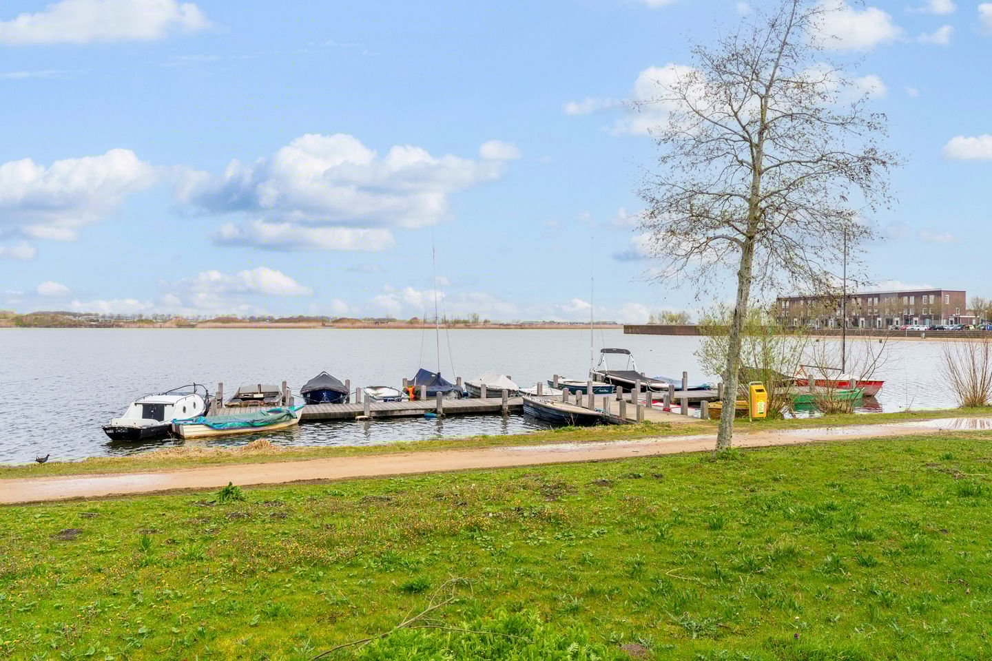 Photo 55 of Zilvervlekpad 6