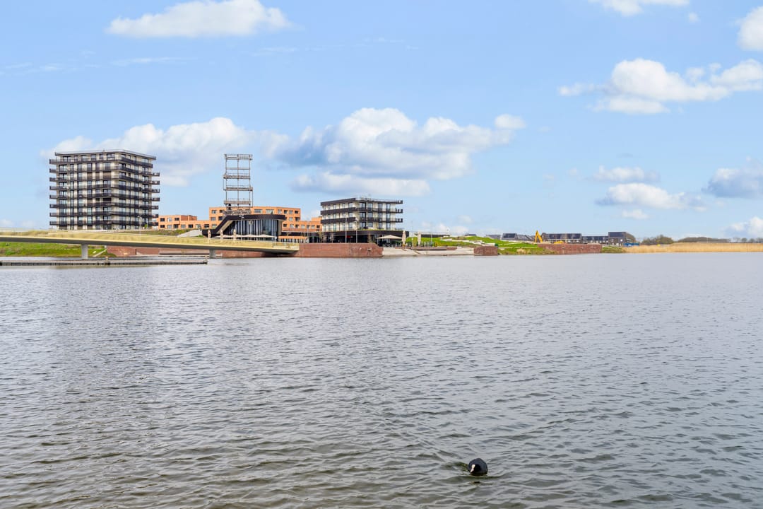 Photo 56 of Zilvervlekpad 6