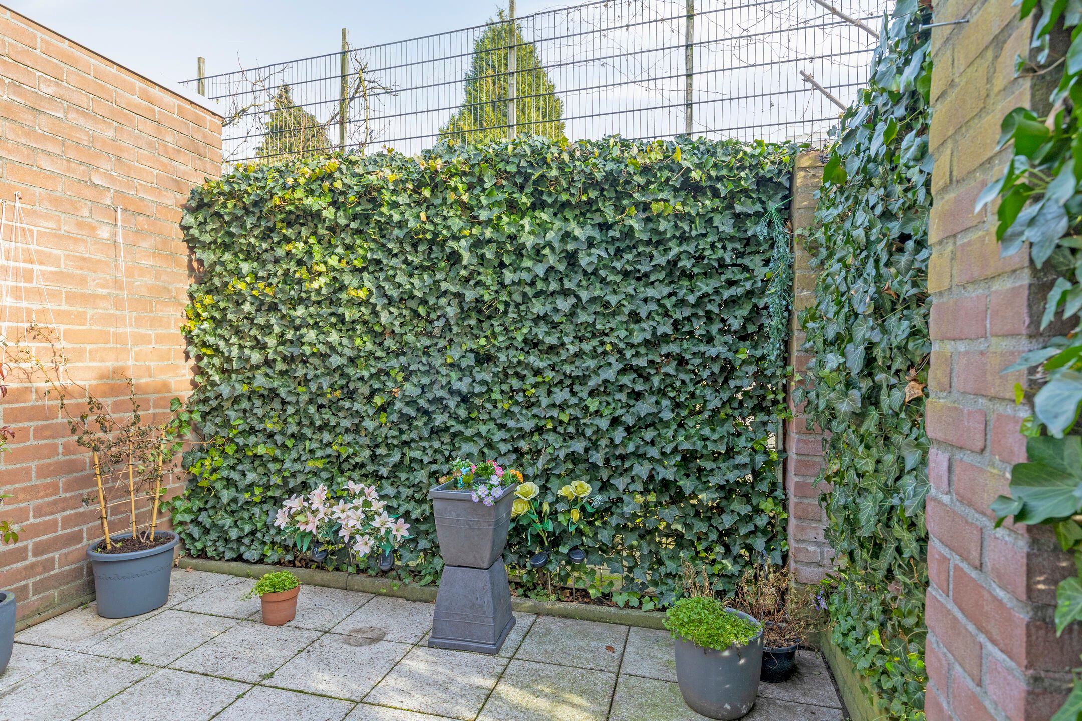 Foto 6 van Hemelrijksestraat 87