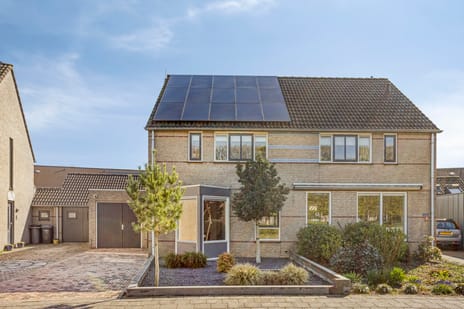 undefined main image