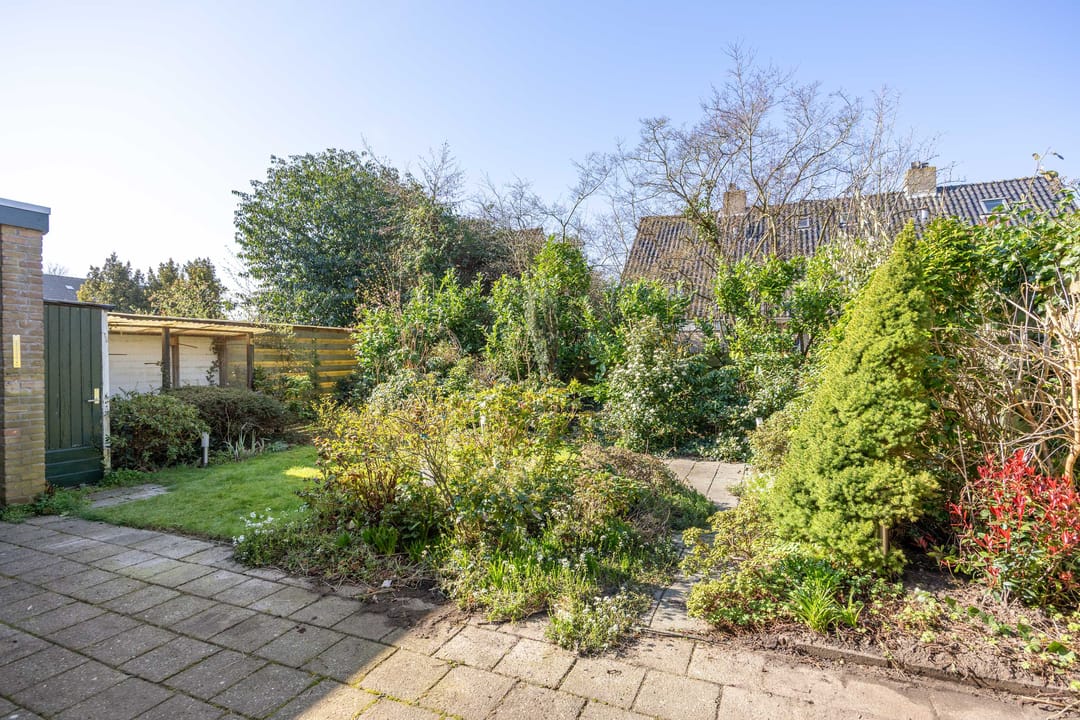 Foto 38 van van Houtenstraat 6