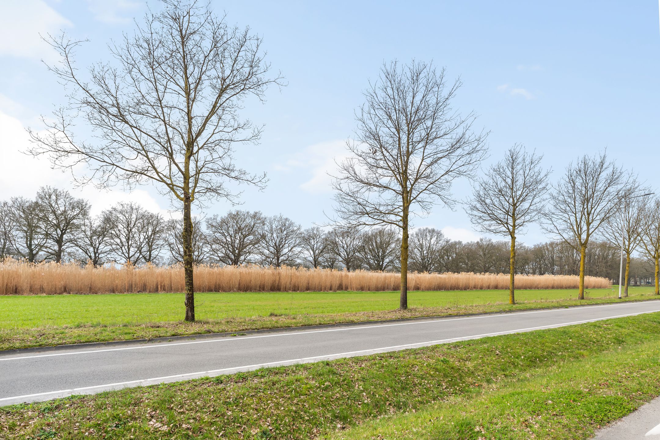 Photo 30 of Arendshorst 31