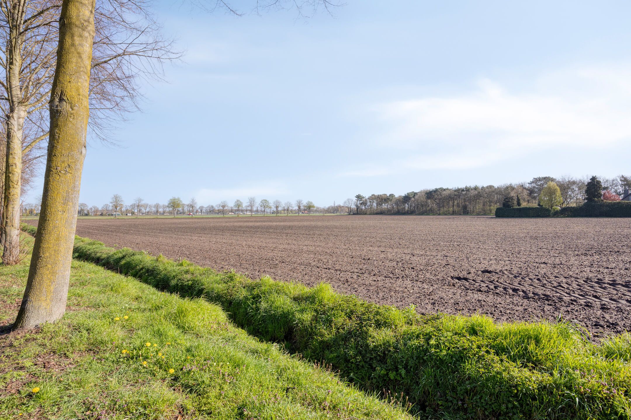 Foto 45 van De Zonnedauw 26