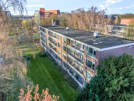 Thorbeckestraat thumbnail