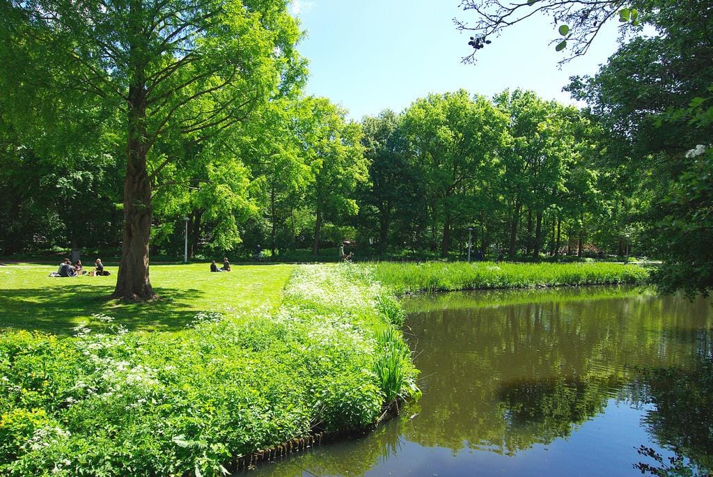 Photo 24 of Hoofdweg 34-2