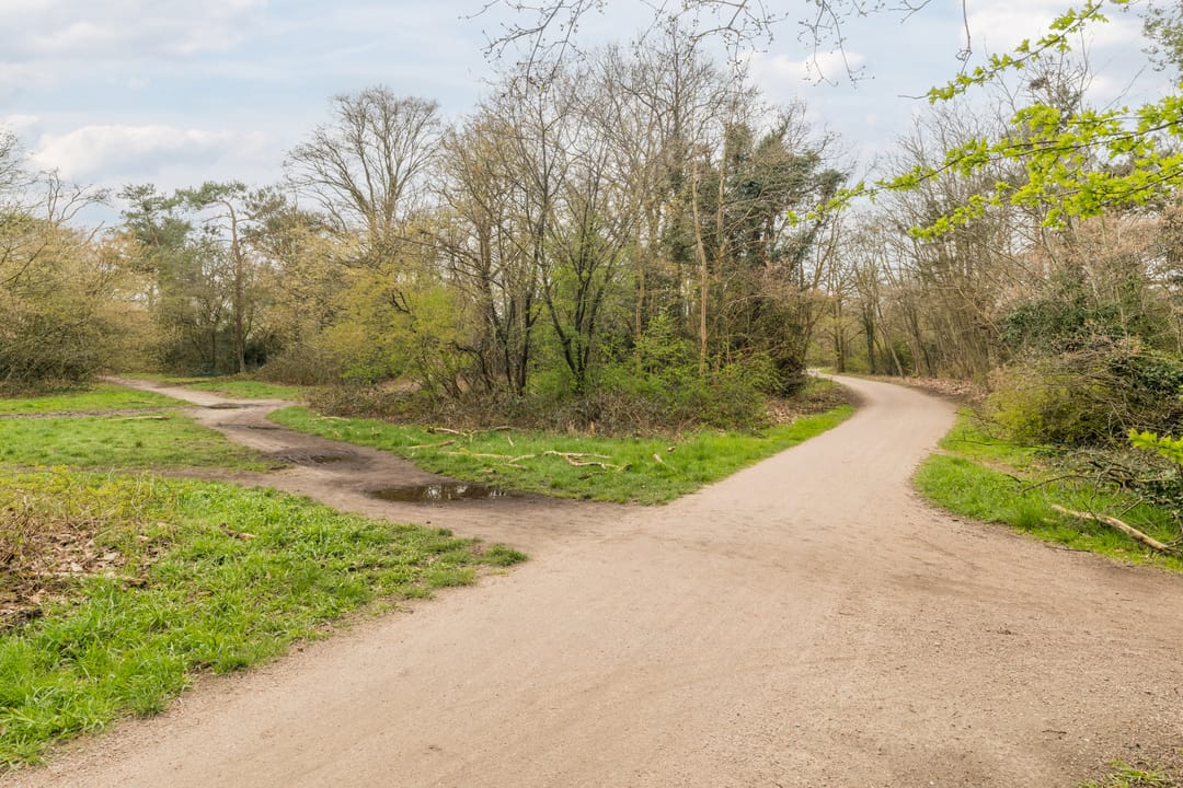 Foto 32 van Anne Franklaan 126