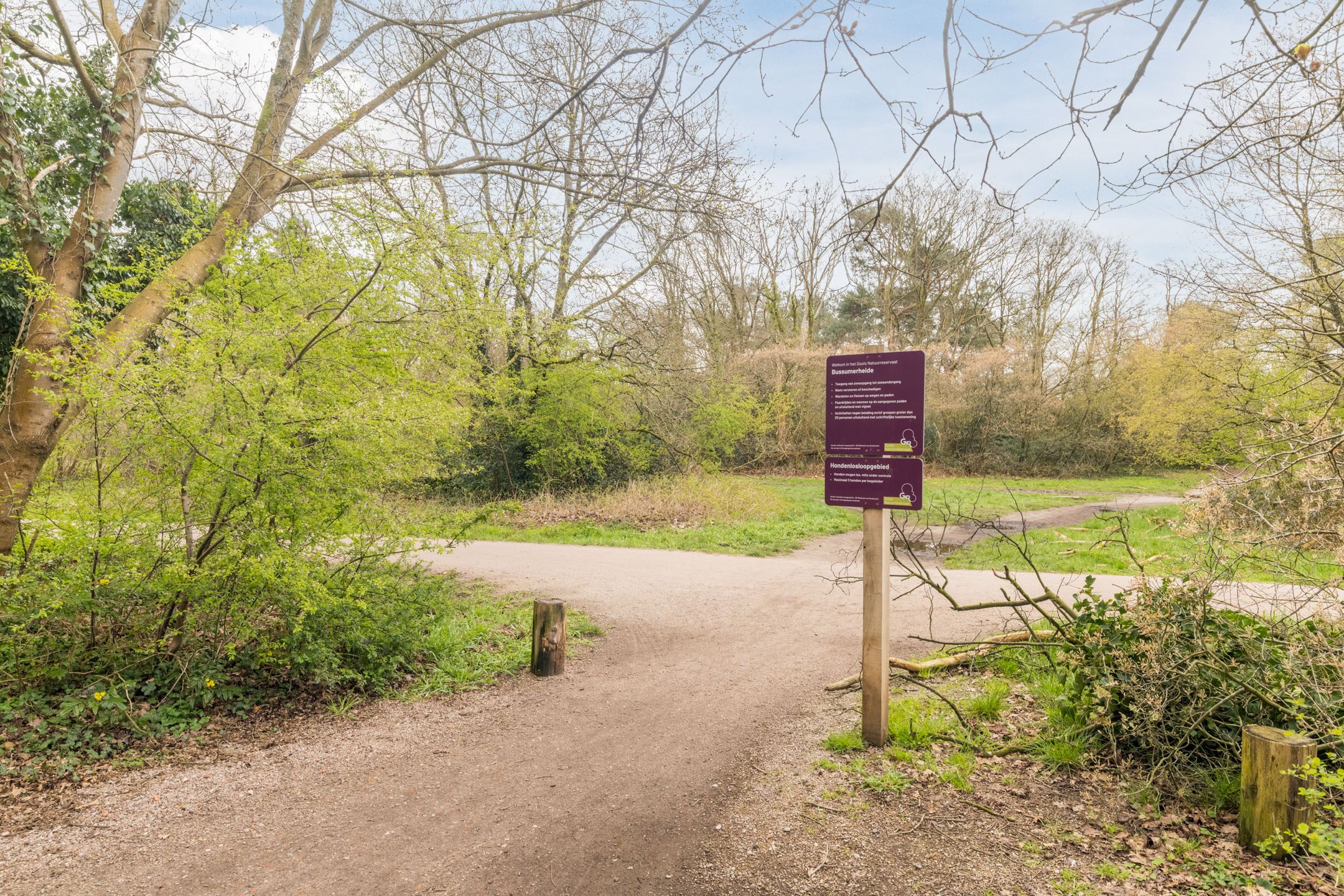 Foto 33 van Anne Franklaan 126