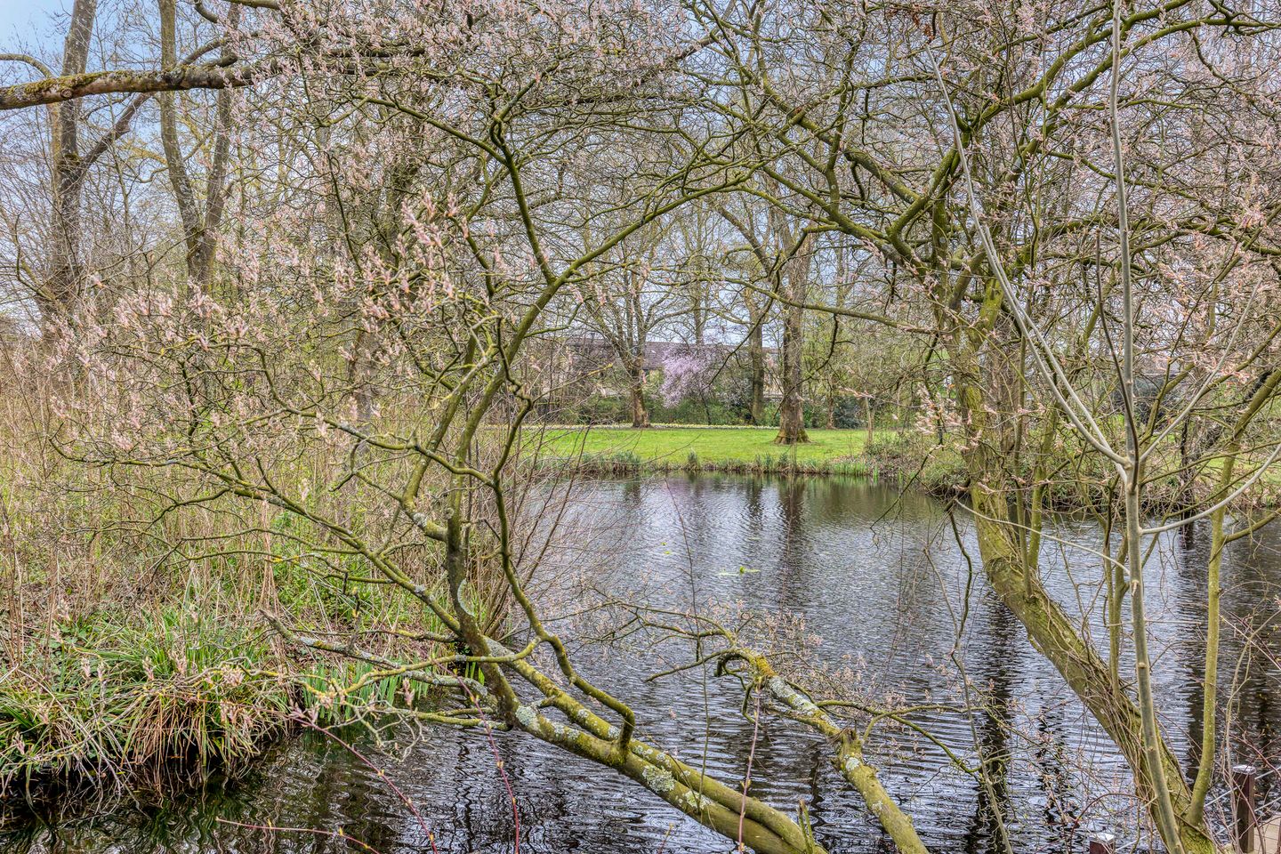 Foto 65 van Trilgras 12