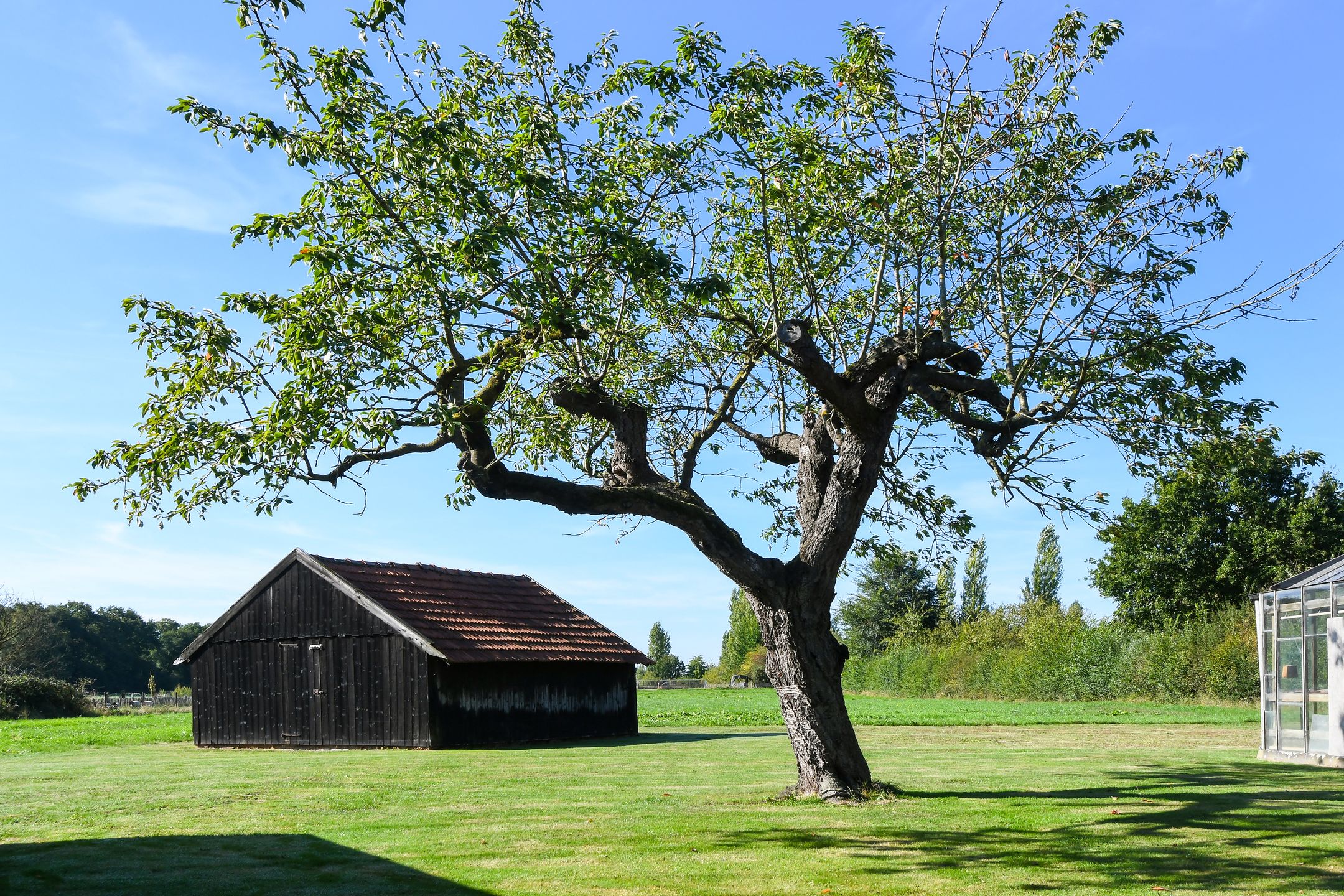 Foto 30 van Rijkel 33