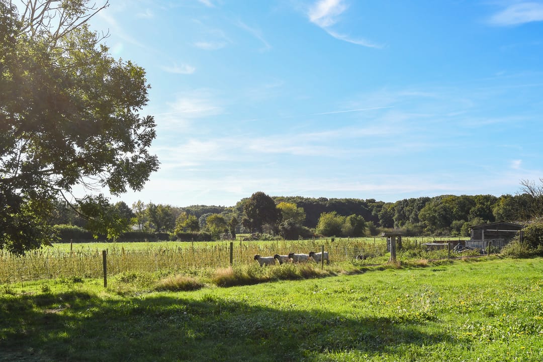 Foto 31 van Rijkel 33