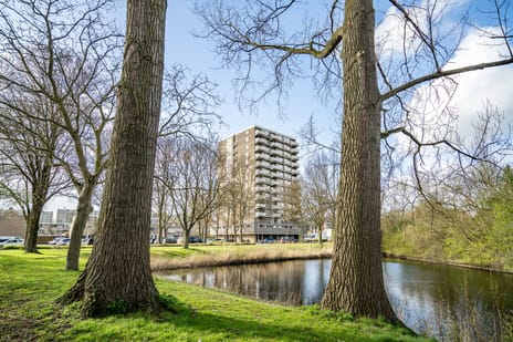 Graaf Janstraat thumbnail