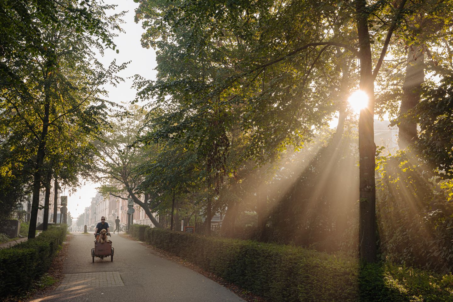 Foto 29 van Jacob Obrechtstraat 67-F