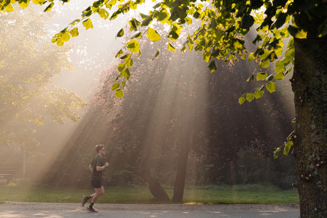 Foto 37 van Jacob Obrechtstraat 67-F