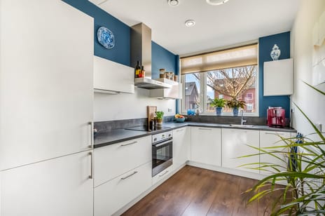 Korianderpad 22 secondary image