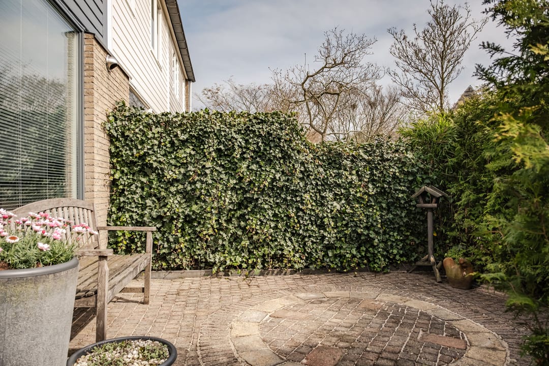 Foto 32 van Spaanderbank 55