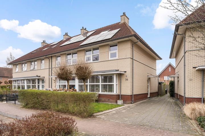 Valeriaan 26 main image