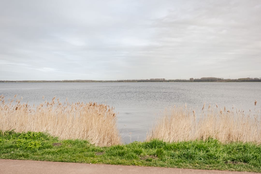 Foto 37 van Spaanderbank 55