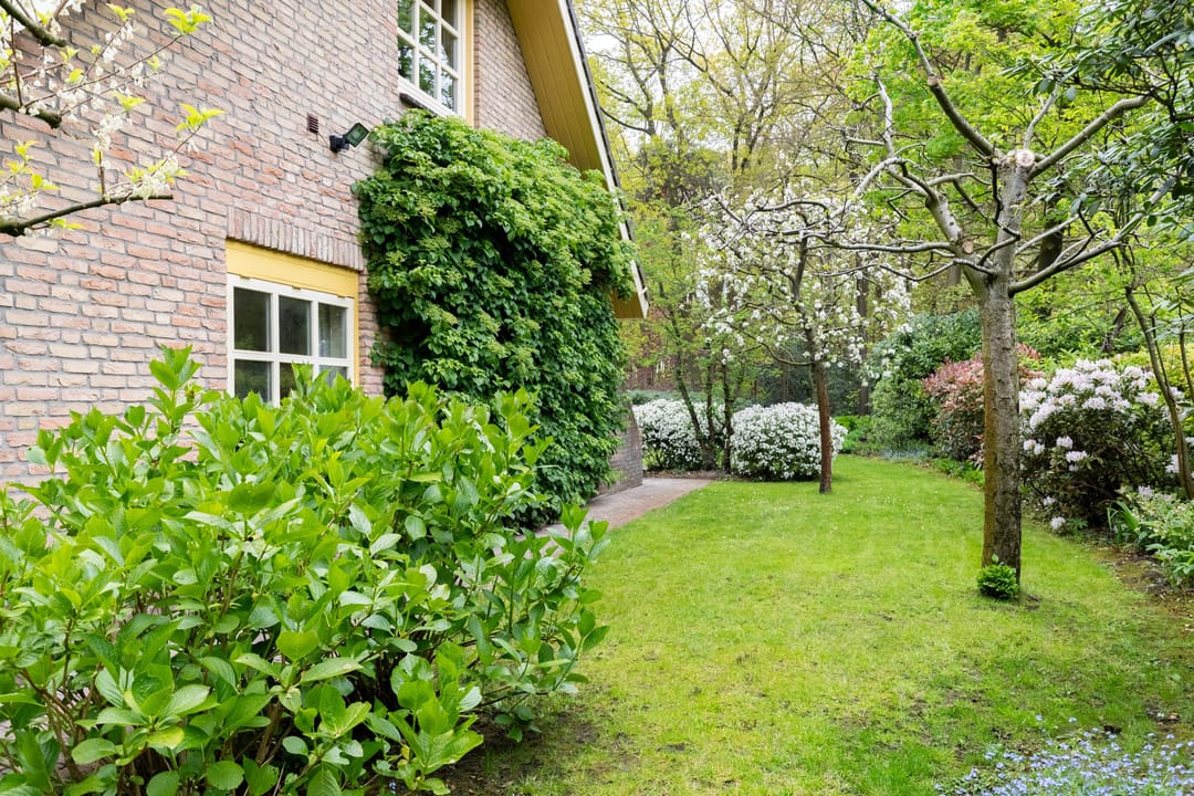 Foto 62 van Kleuterhuislaan 1