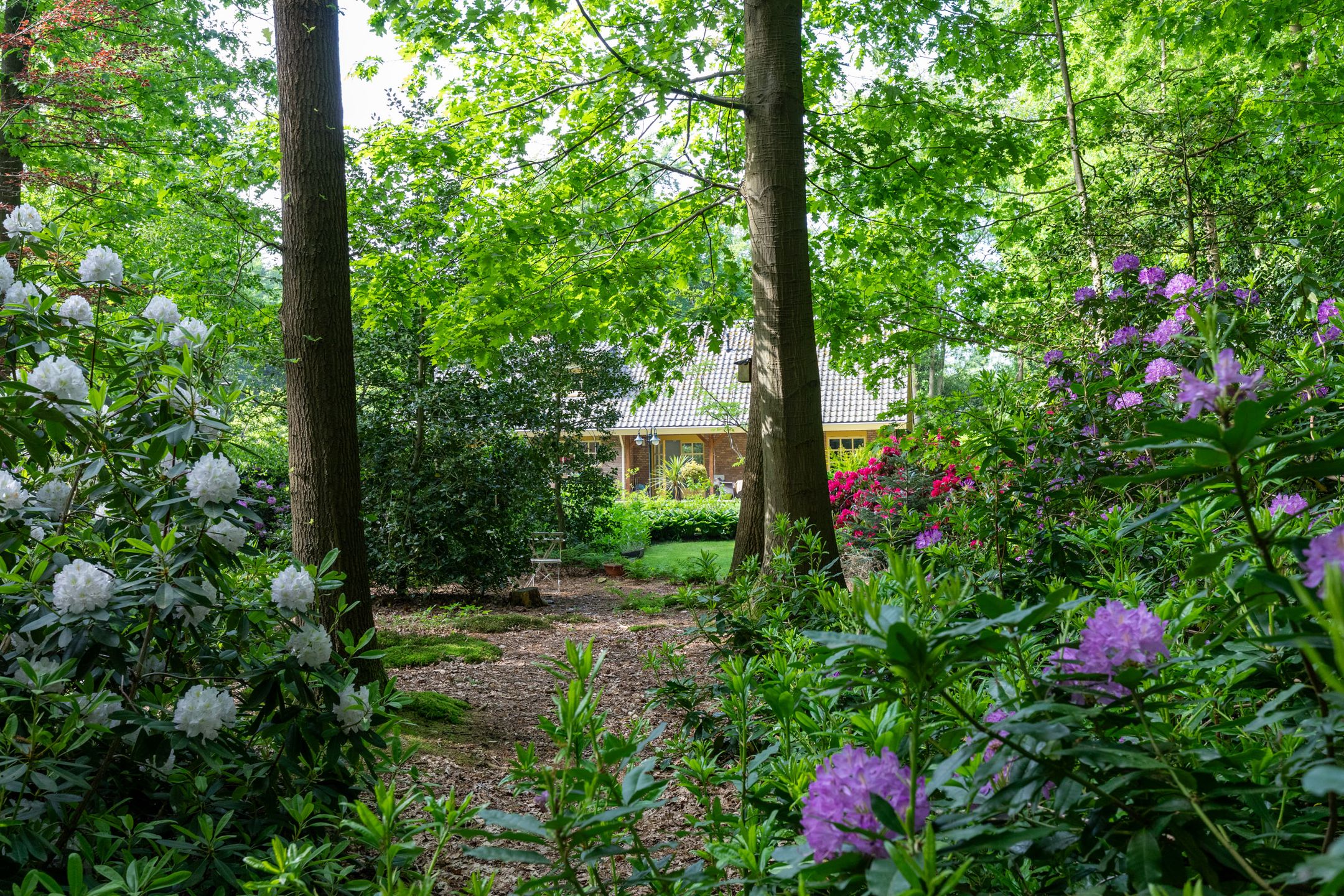 Foto 63 van Kleuterhuislaan 1