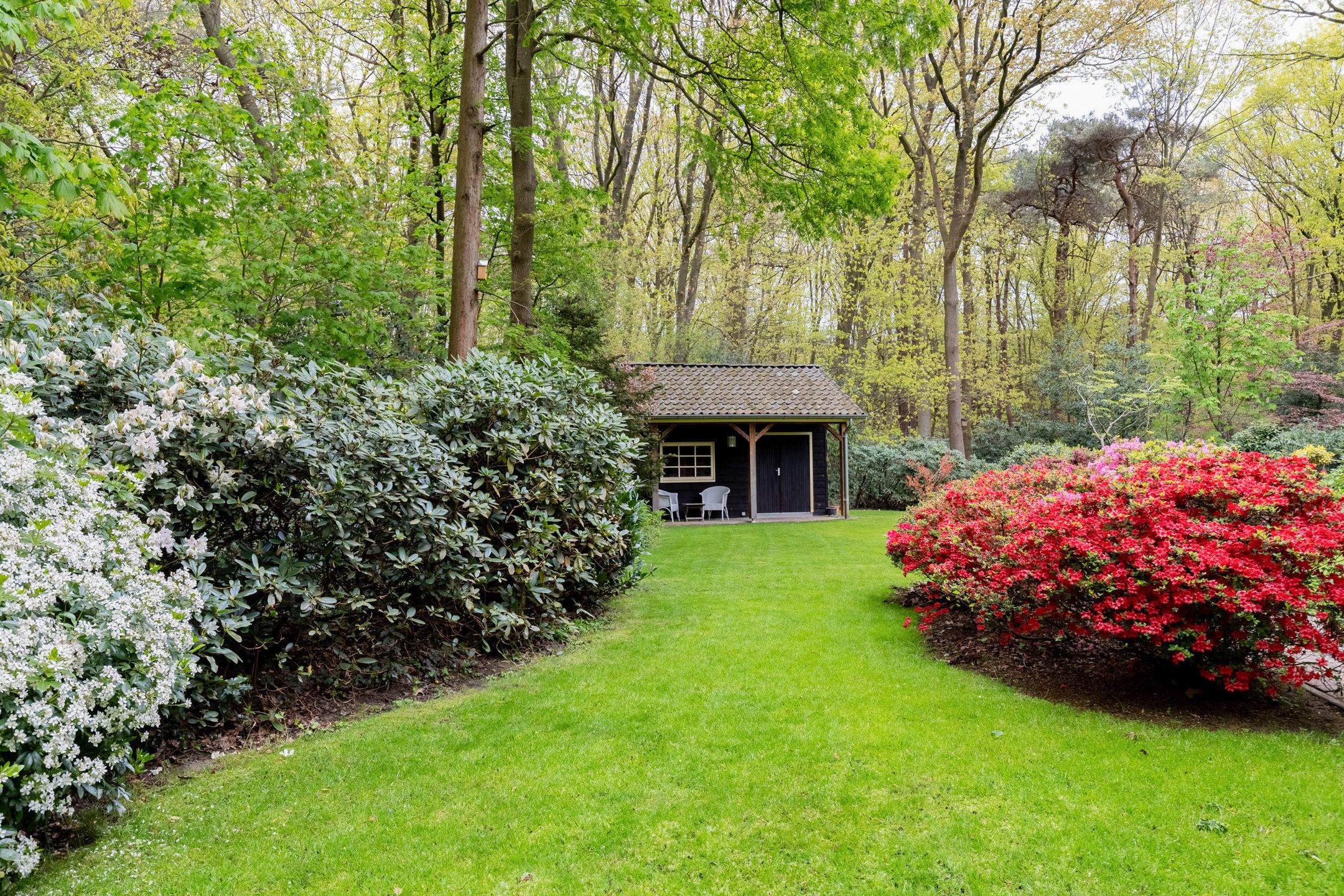 Foto 57 van Kleuterhuislaan 1