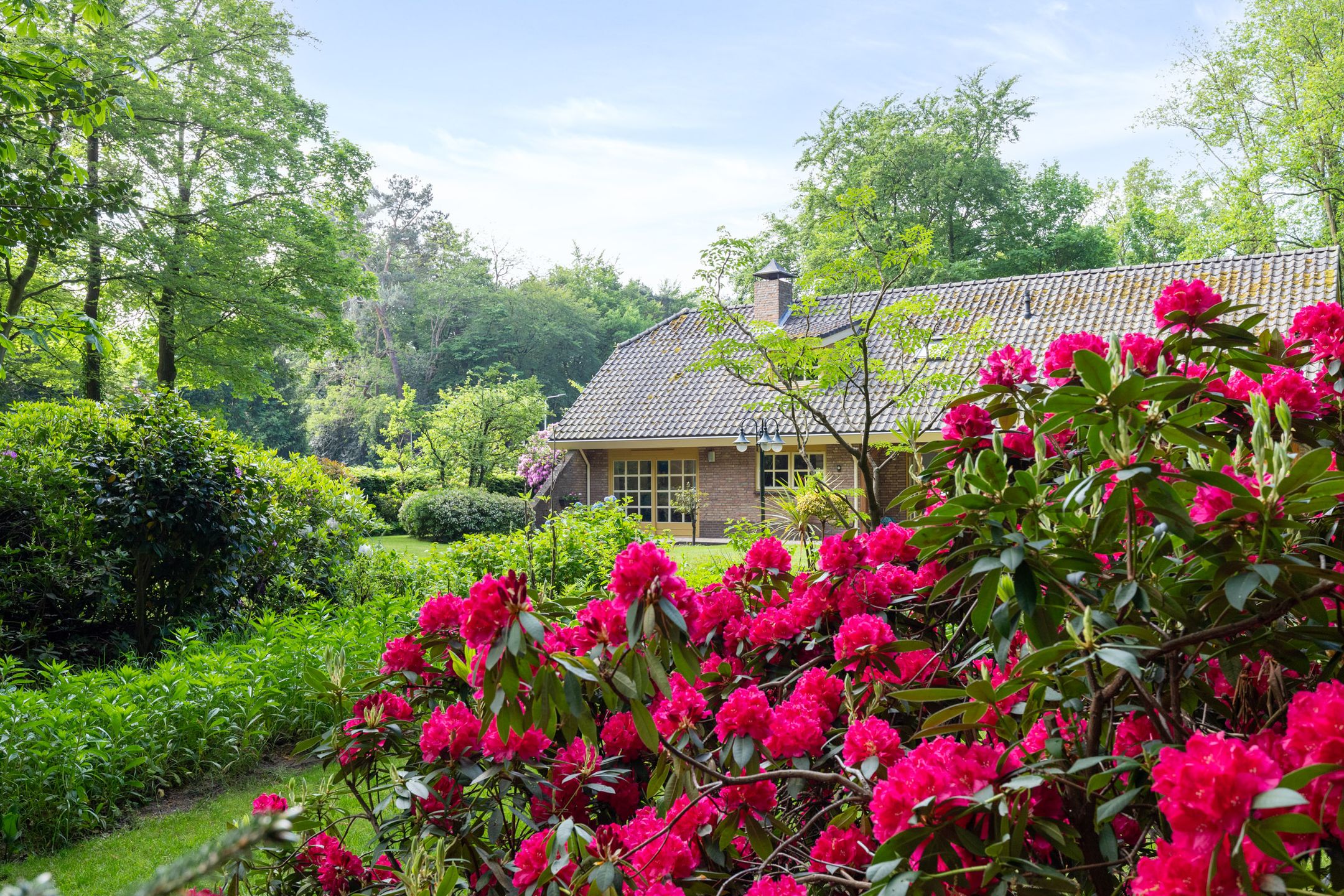 Foto 66 van Kleuterhuislaan 1