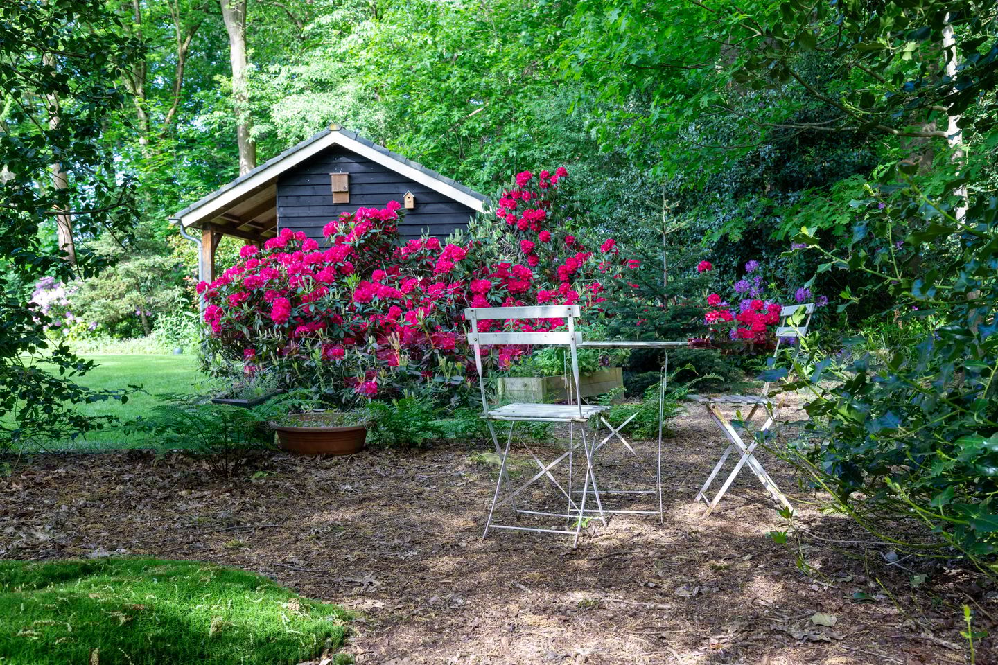 Foto 65 van Kleuterhuislaan 1