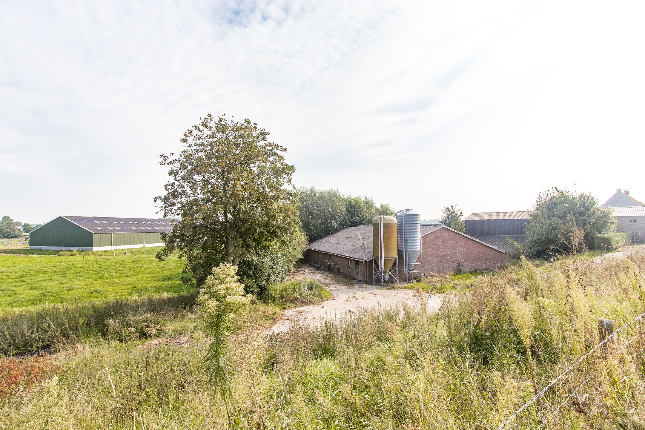 Photo 3 of Sint Odradastraat 49