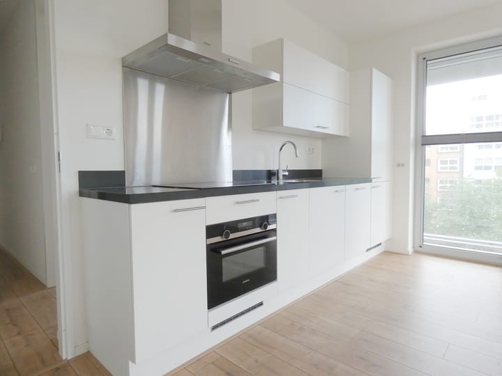 Foto 4 van Stadhoudersplantsoen 222-M
