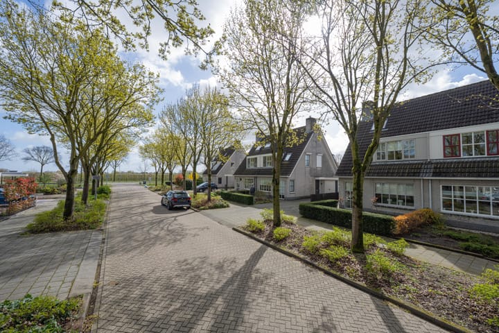 Foto 4 van Sterappel 64