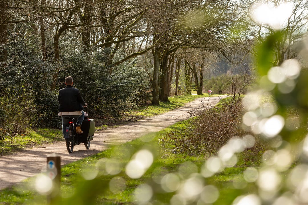 Foto 31 van Dotterstraat 23