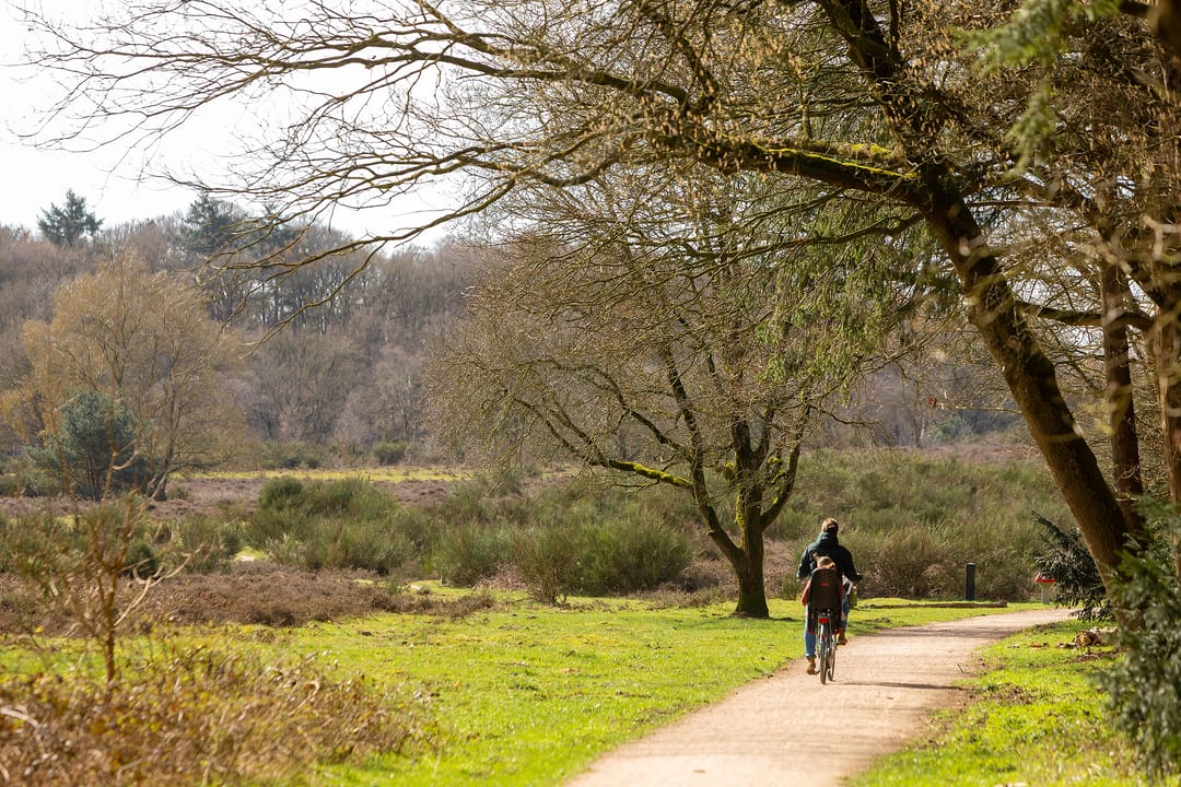 Foto 32 van Dotterstraat 23