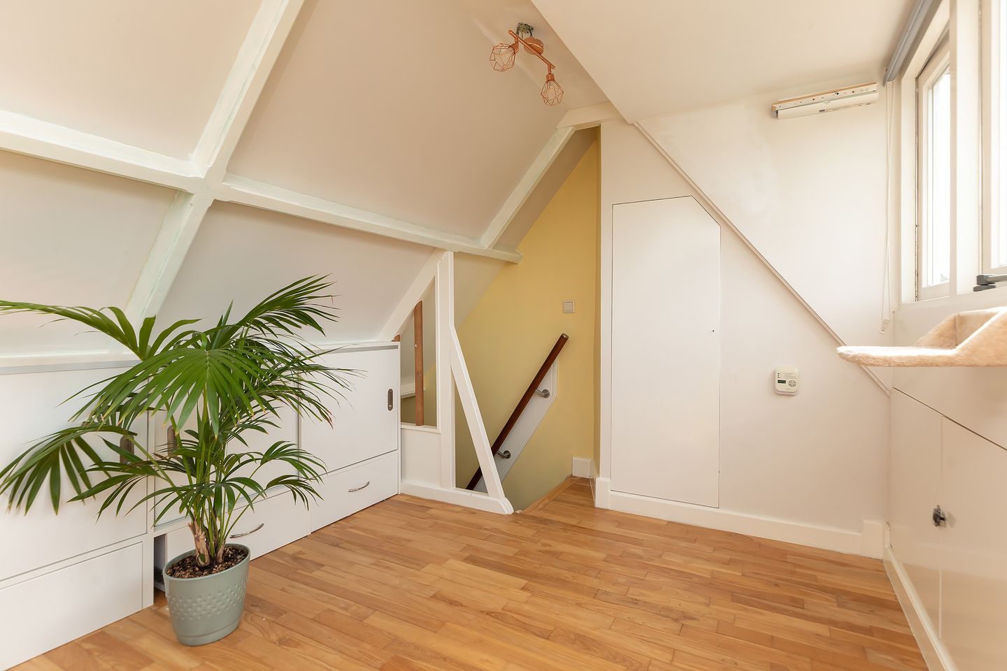 Foto 25 van Dotterstraat 23