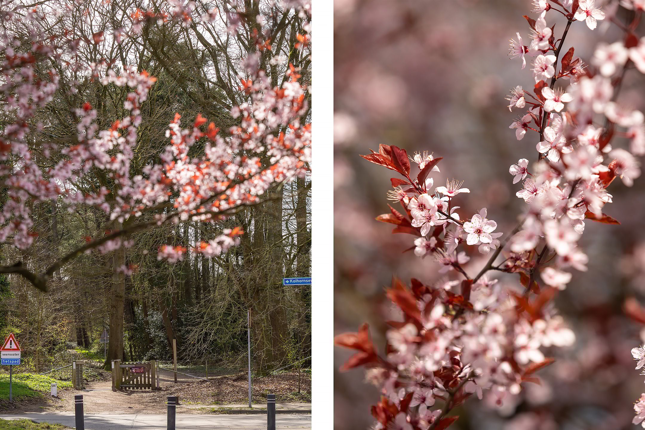 Foto 30 van Dotterstraat 23