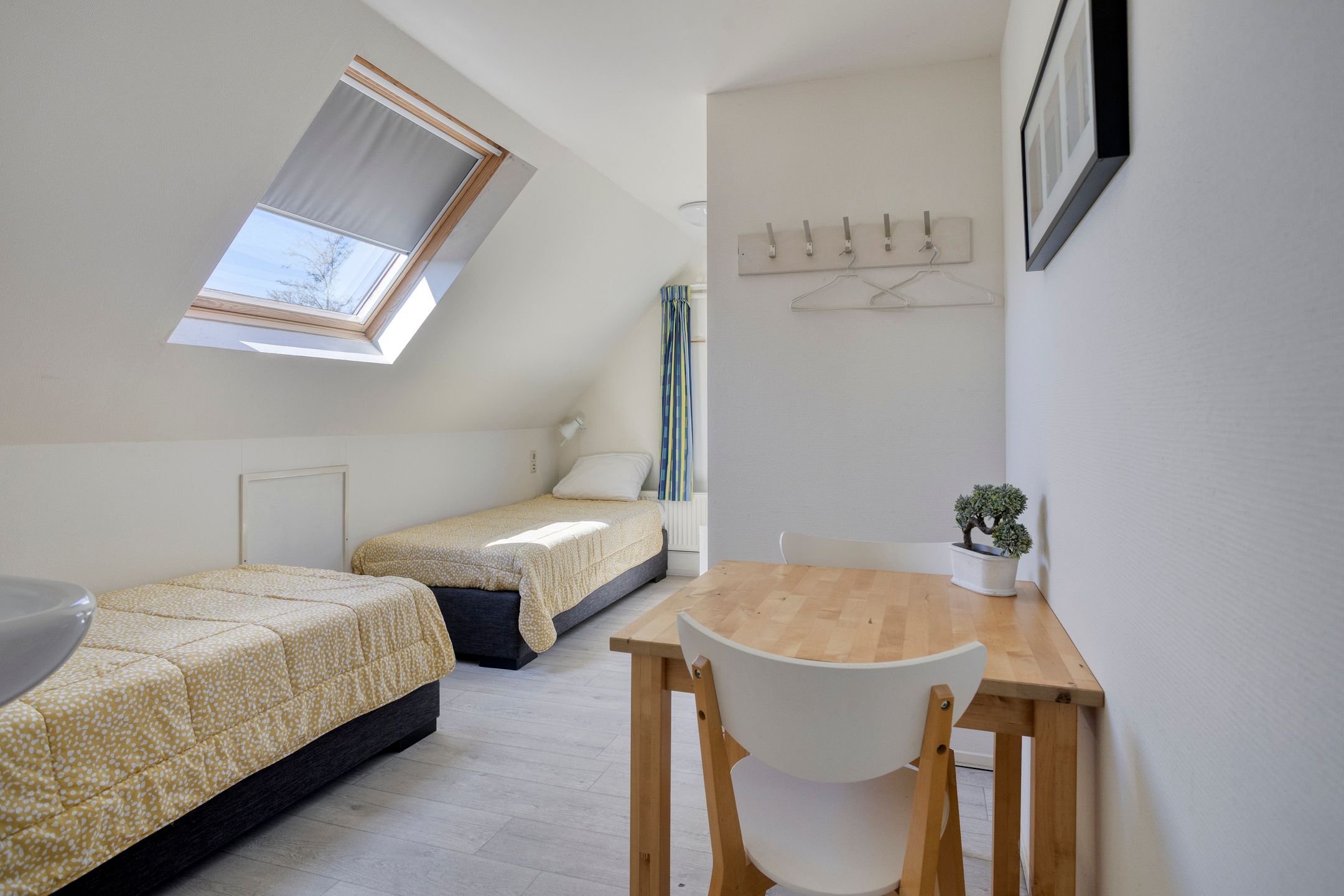 Foto 45 van Eswal 47