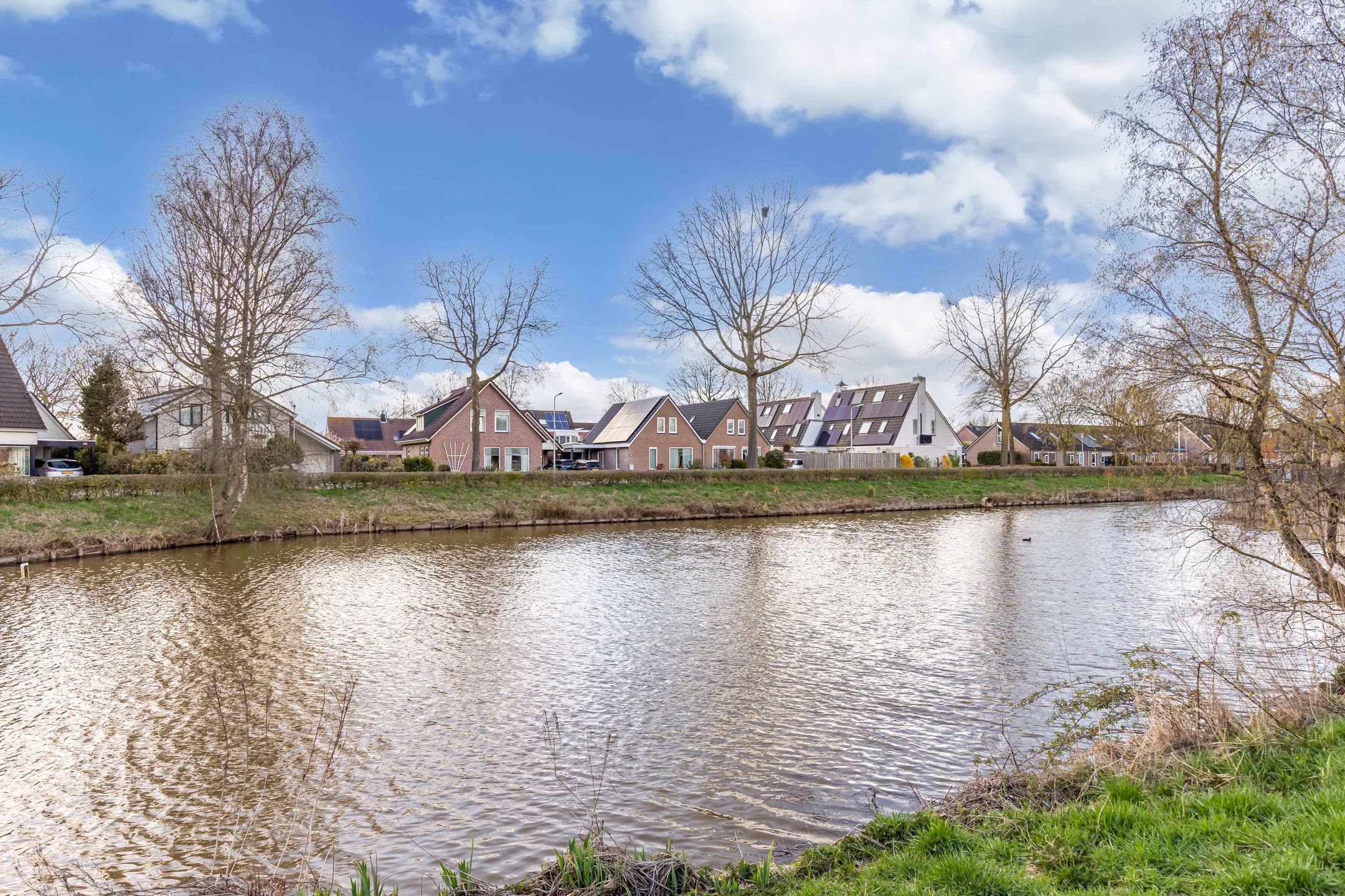 Photo 48 of Wilgeroosje 36