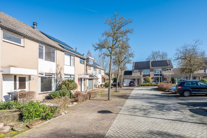 Photo 5 of Aldendriel 51