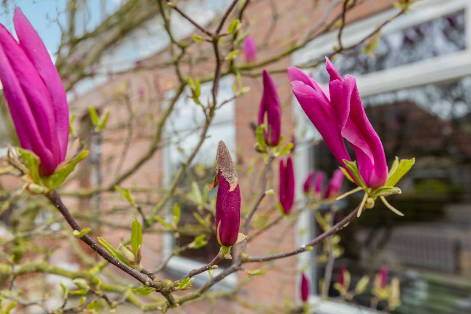 Foto 57 van Schoolstraat 2