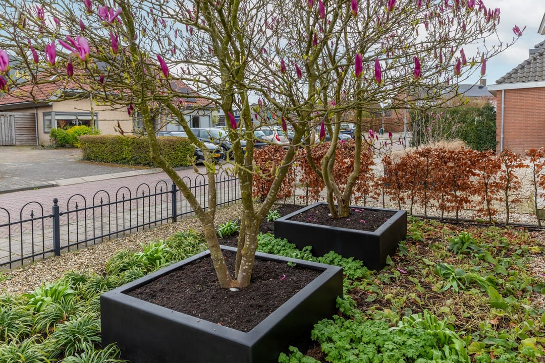 Foto 56 van Schoolstraat 2