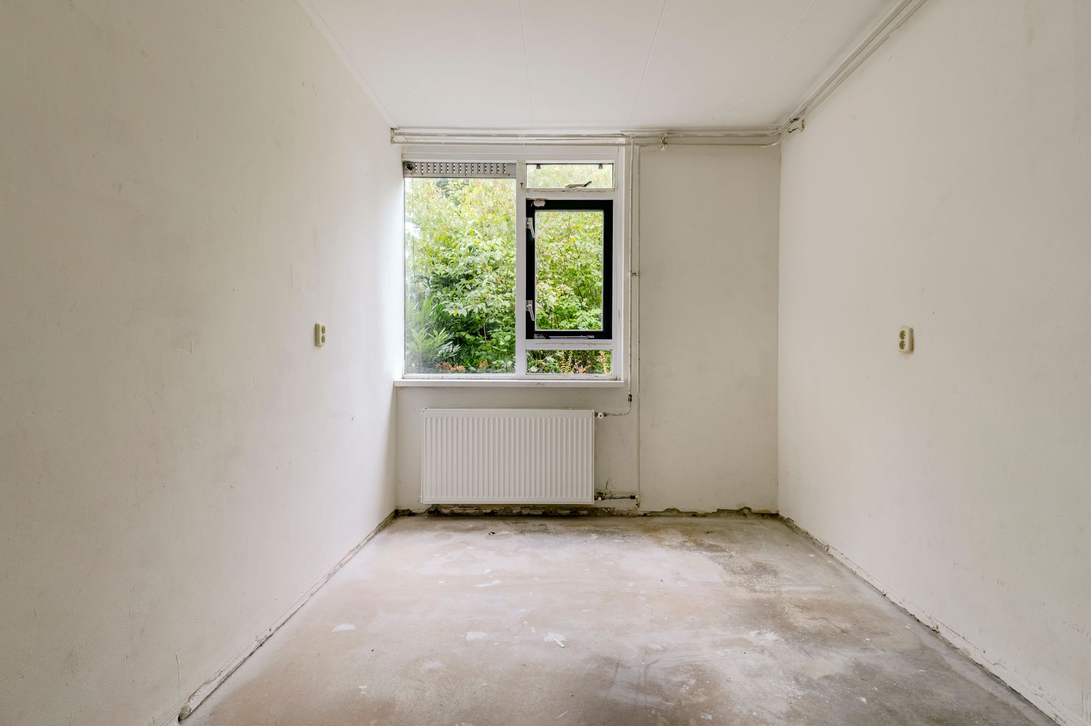 Foto 27 van Saffier 32