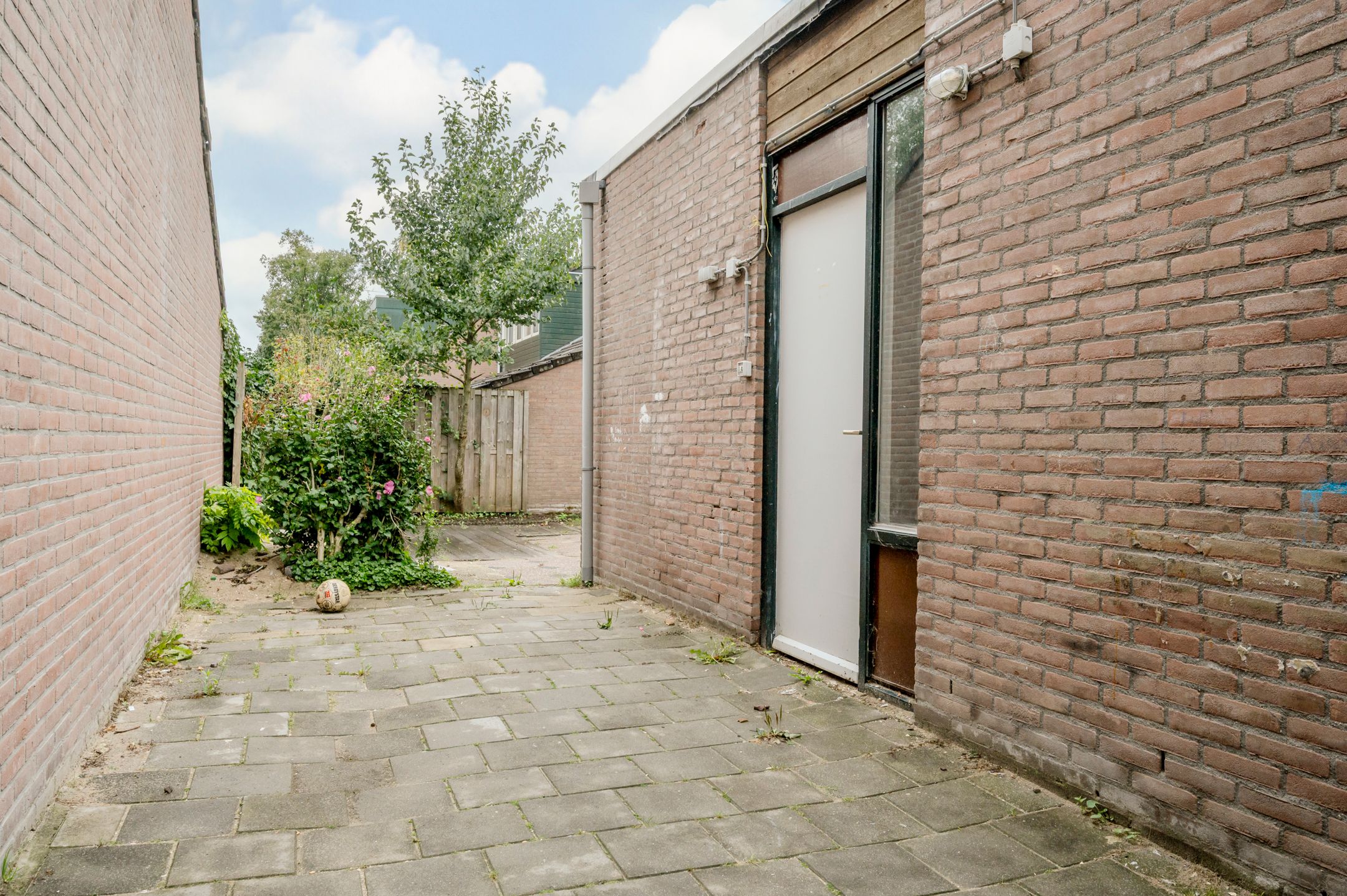 Foto 33 van Saffier 32