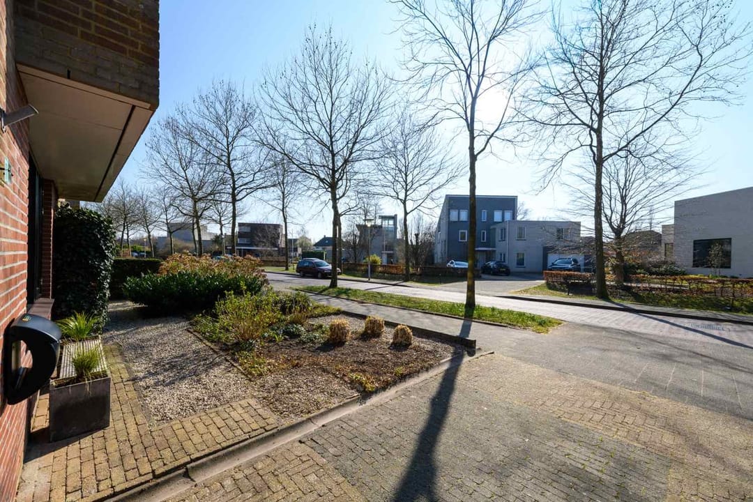 Foto 8 van Grasland 11