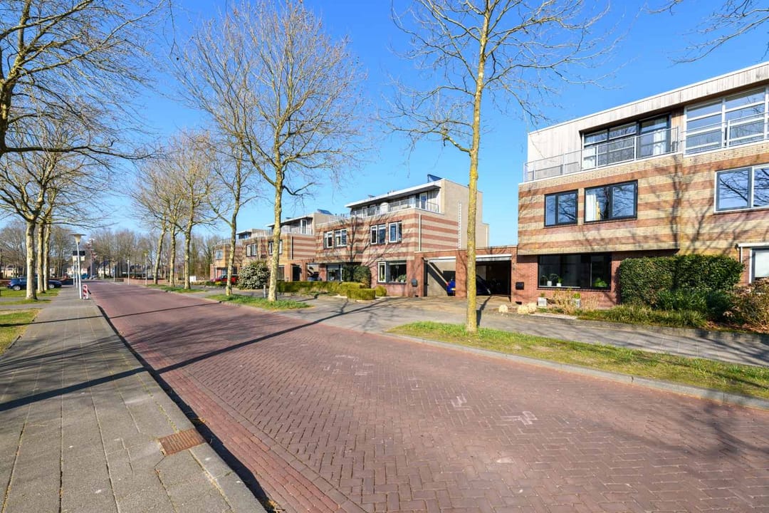 Foto 7 van Grasland 11