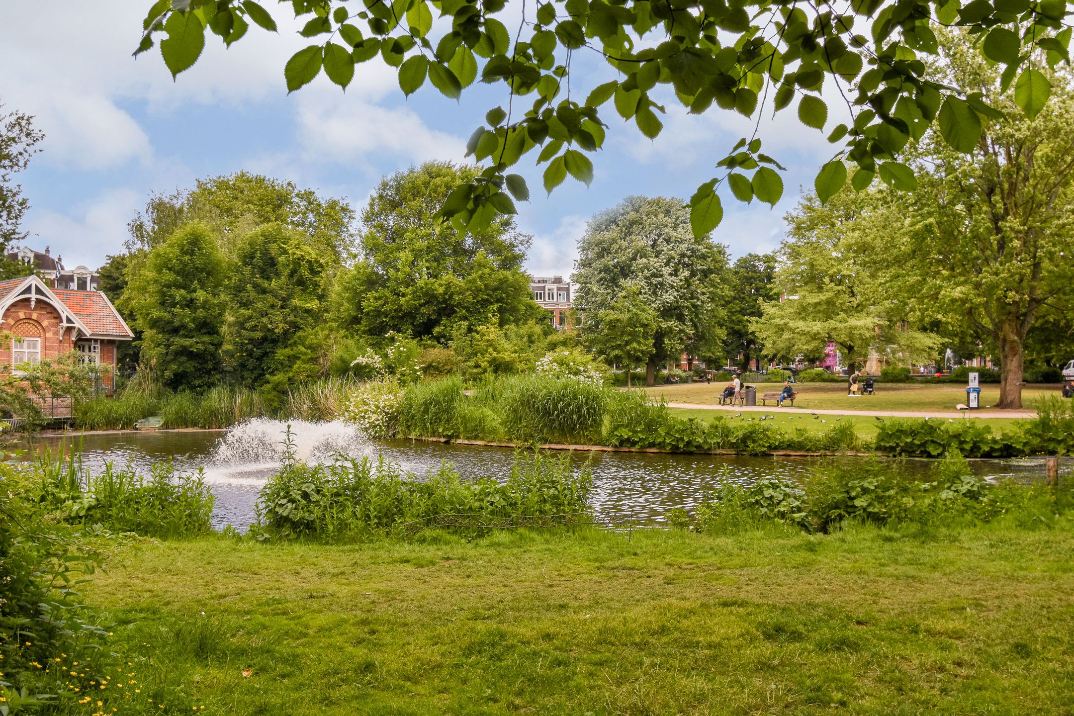 Foto 21 van Sint Willibrordusstraat 48-1