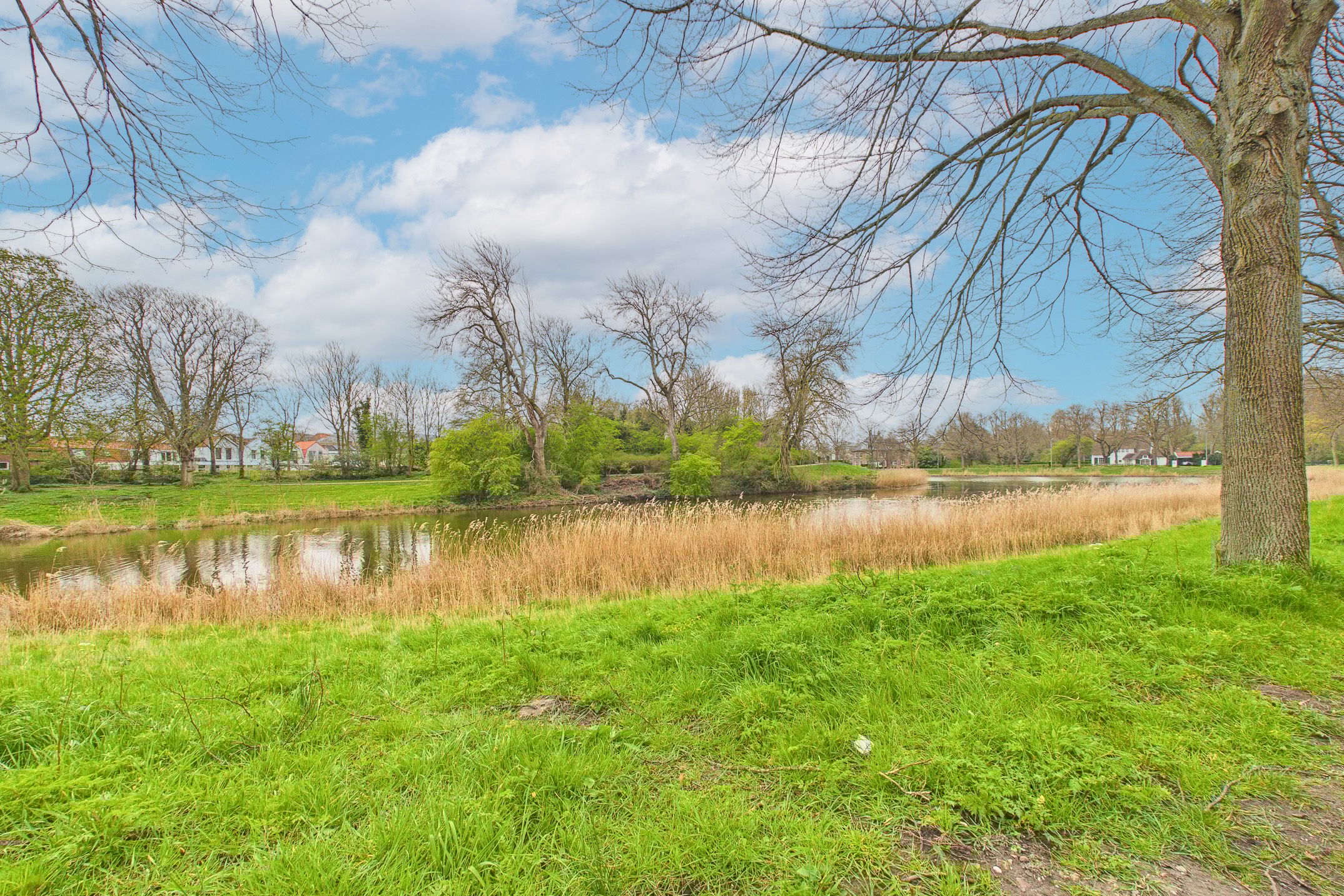 Foto 66 van Noordsingel 172