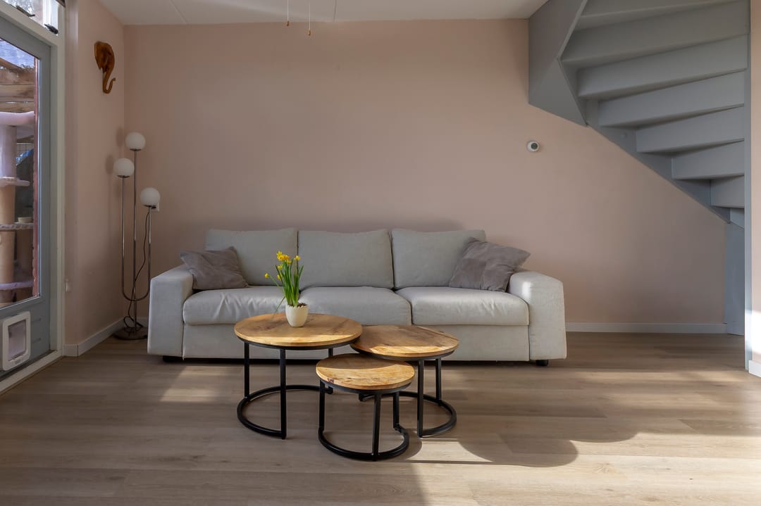 Photo 7 of Wierbalg 1956