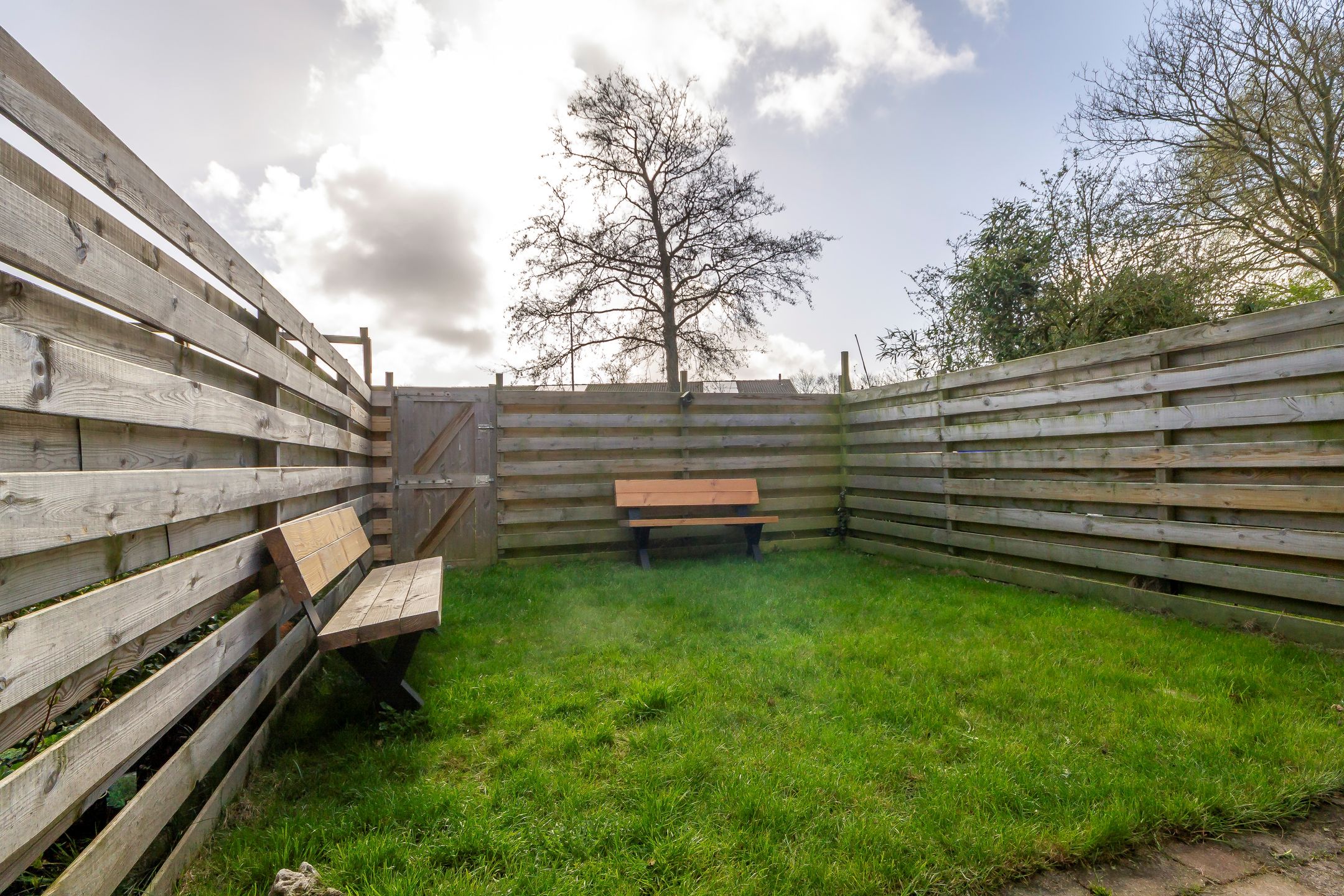 Photo 18 of Wierbalg 1956