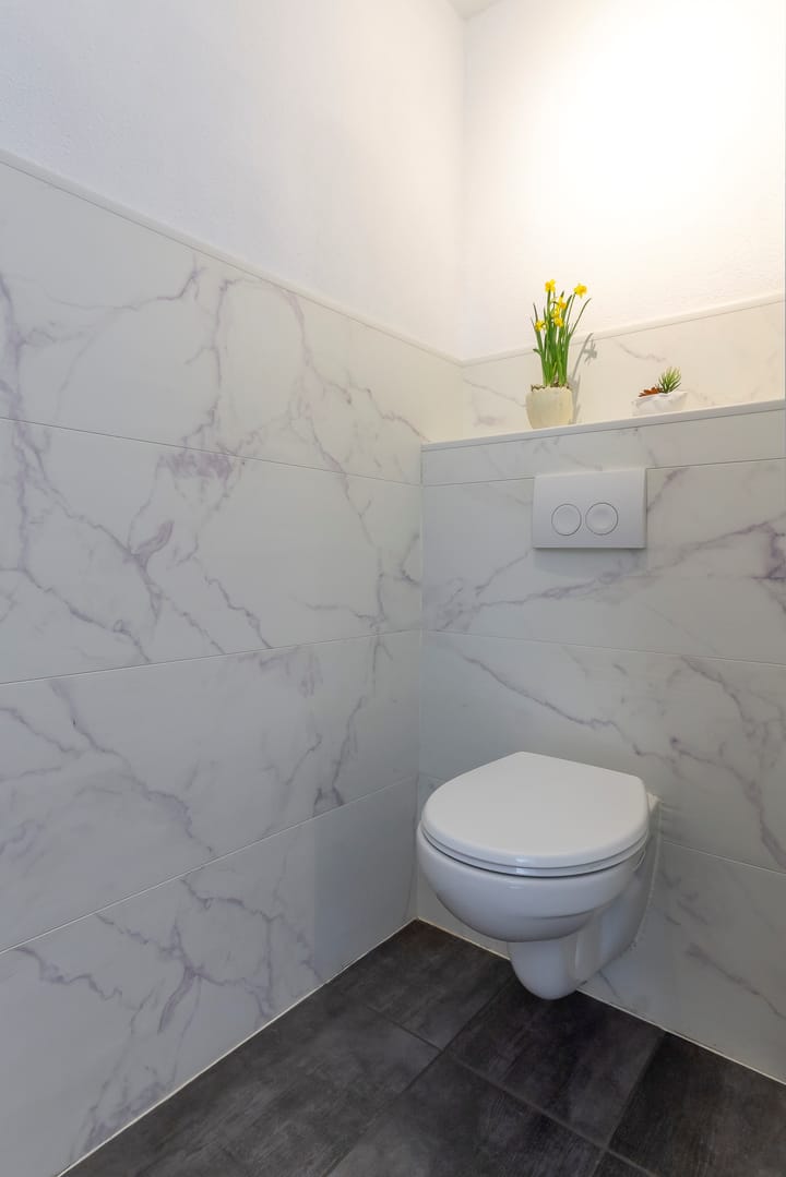 Photo 4 of Wierbalg 1956